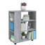 Ayaru 60 cm W Filing Cabinet-869012712