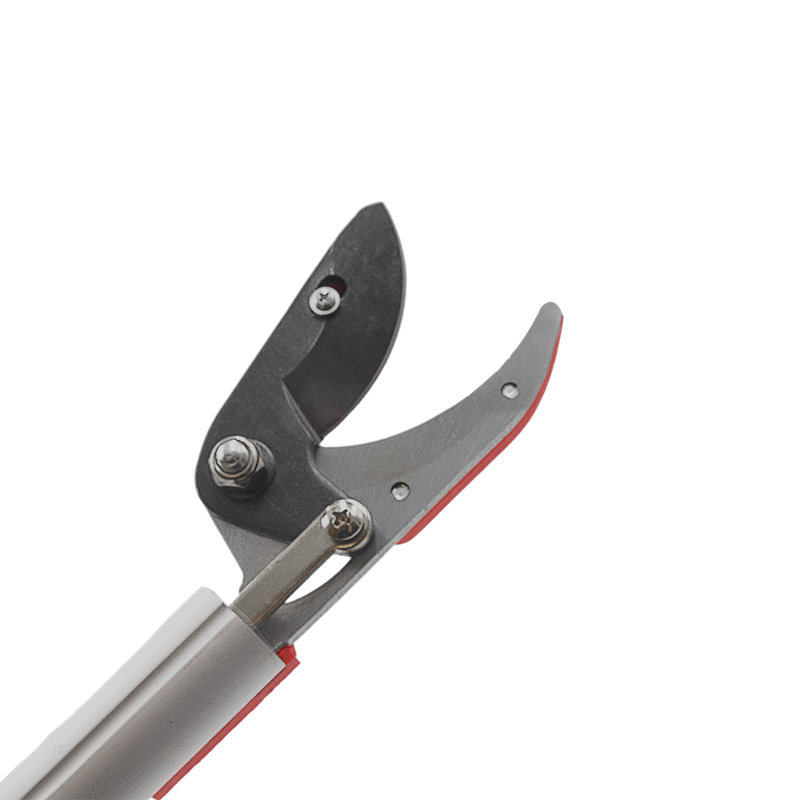 Outils de jardinage pour sécateur