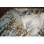 Tapis bleu / brun / blanc noué à la main unique 5 pi 5 po x 8 pi 4 po New Age