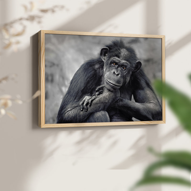 Captivated -Framed Print - Restickable, Natural, 16" H x 20" W