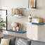 Ensemble de tablettes flottantes l 23,6 po-668832980