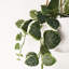 90cm Faux Plant in Planter-101685351