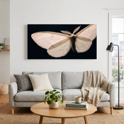 Moth Wing Canvas Wall Art Set Of 1