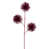 Rouge bourgogne