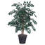 Ficus artificiel en pot 36 po Sakaki