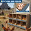 Chicken Coop