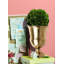 Ensemble de vase Rosdorf Park Diy: Contient une boule de buis préservée et un vase en métal doré, belle pièce maîtresse de table, maison, bureau, décor d'allée de mariage, vendu en ensemble