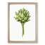 An Artichoke by Jean Bernard - Single Picture Frame Painting-55545077-55545071