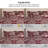 Christmas Carol Oversized Reversible Holiday Bedding Down Alternative Comforter Set with shams-102536176