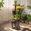 Iron Plant Stand 5 Tier Set of 58