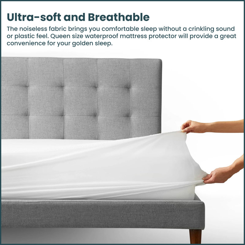 Davidsville Bed Bug and Hypoallergenic Cotton Zippered Waterproof Mattress Protector with 360 Degree Protection, Queen, 13"