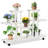 Plant Stand-1193952724-1193952723