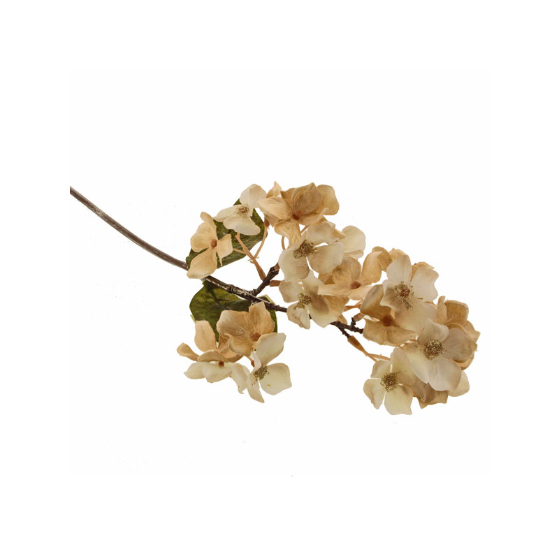 Arrangement, Cream