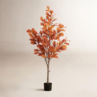 60'' Faux Foliage Tree in Pot