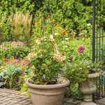 Kelecik 50.5'' H x 11'' W Iron Obelisk Trellis
