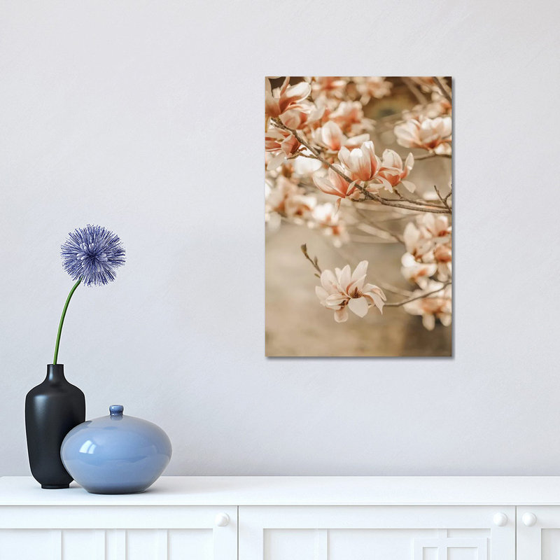 Magnolia Peach II by Monika Strigel - Wrapped Canvas Print, 30.48 cm H x 45.72 cm W