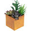 Arrangement de plantes grasses artificielles en mélange de cuivre 7 po
