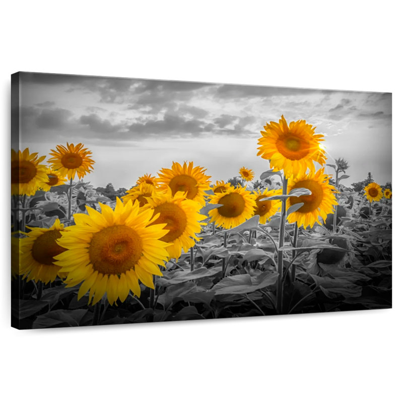 Harnek Sunflowers In The Evening - couleur jaune, H 34 po x l 51 po