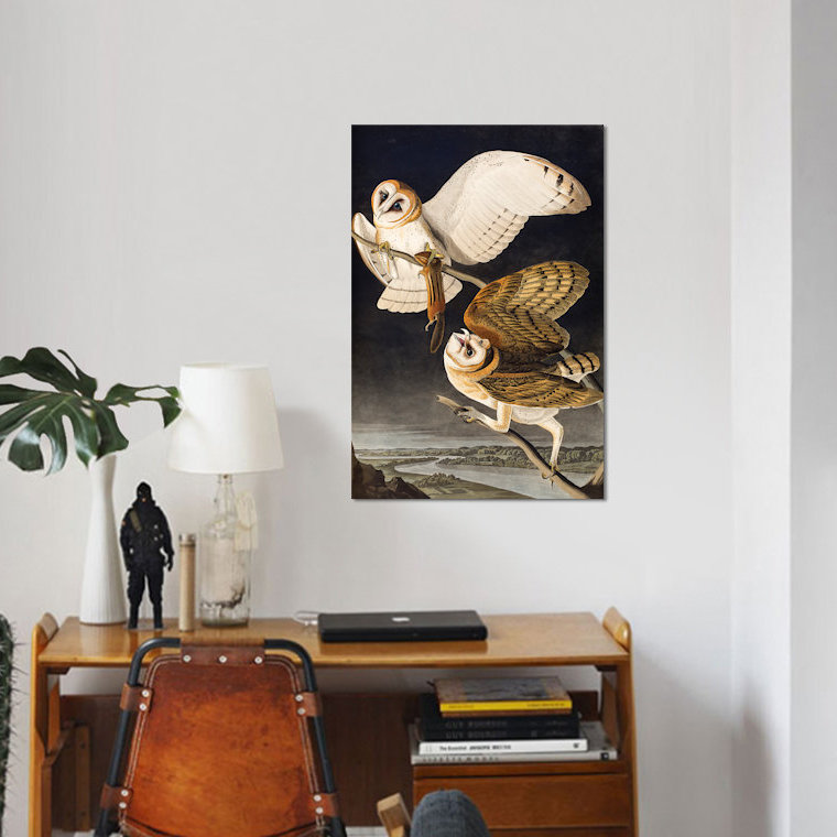 «Barn Owl Audubon Commission», impression sur toile, H 26 po x l 18 po x P 1,5 po, Pas de tapis, Toile tendue