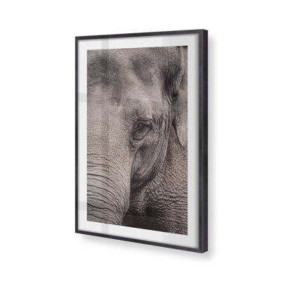 Wise Gaze Print, in a Frame,