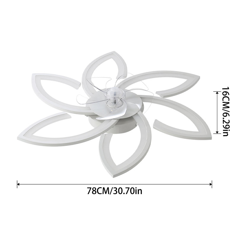 Ceiling Fan with LED Lights