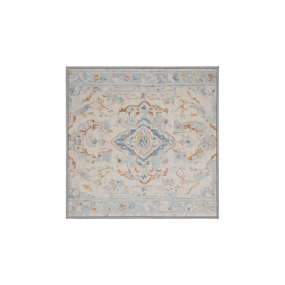 Machine Washable Gray Area Rug