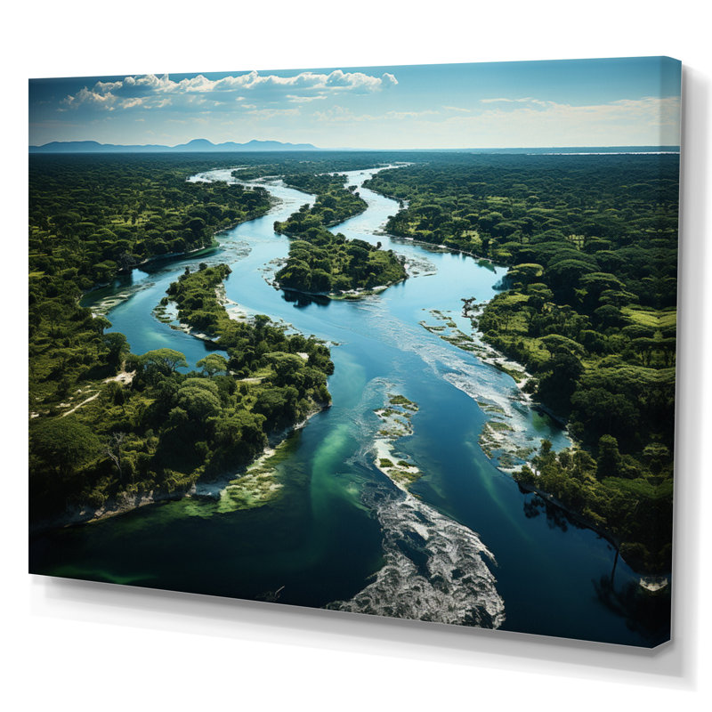 Delta de l'Okavango, Botswana I sur toile, Toile tendue, H 12 po x l 20 po x P 1 po
