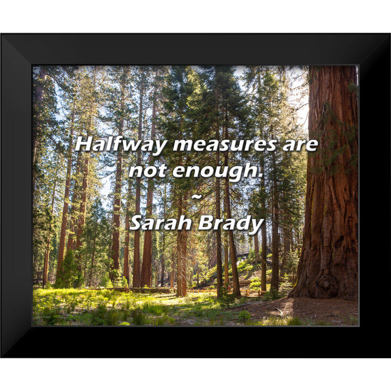Sarah Brady Quote: Halfway measures are not enough.