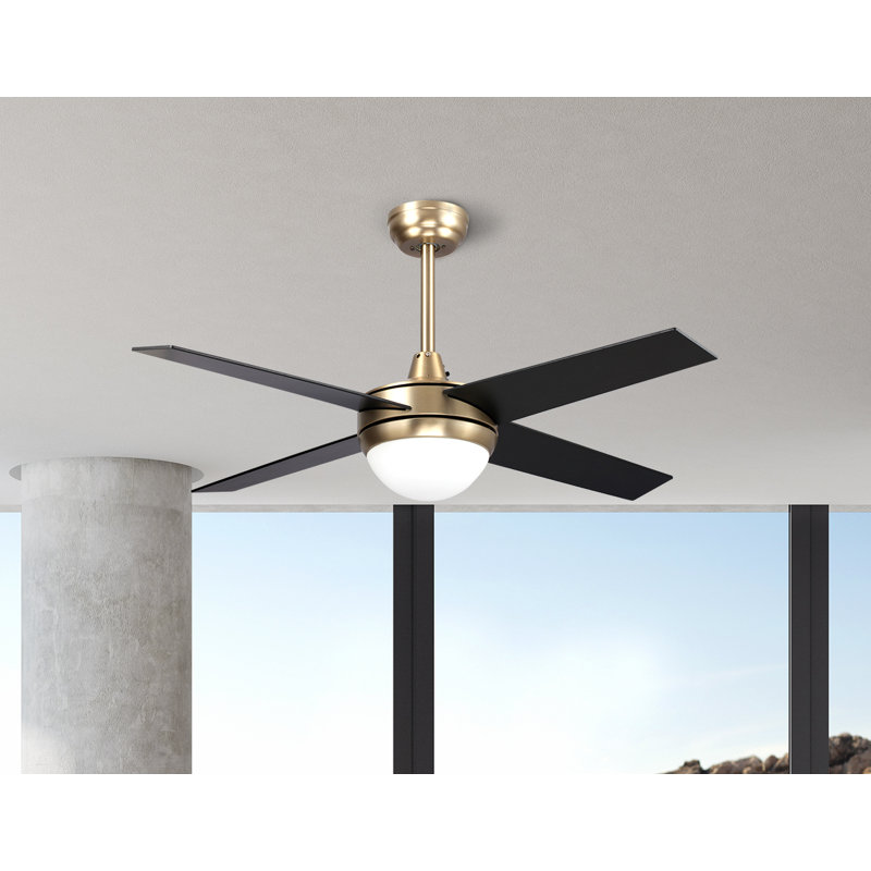 Ventilateur de plafond 48 "à DEL 4 pales standard avec commande murale et ensemble d'éclairage inclus, Or / pales noires
