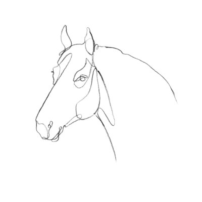 Equine Pencil Shape III 1 Piece Wrapped Canvas Wall Art