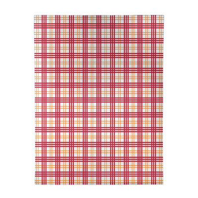 Plaid Indoor Rug