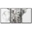 3 bovins Softland Highland Soft Focus-881447649-881447651