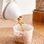 Food Storage Container