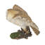 Statue de vol hibou grange