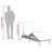  Patio Sun Lounger Black, Blue-1710460819-1710460821