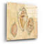 «Shells 1» par Cheri Blum, art mural en verre acrylique-837792618