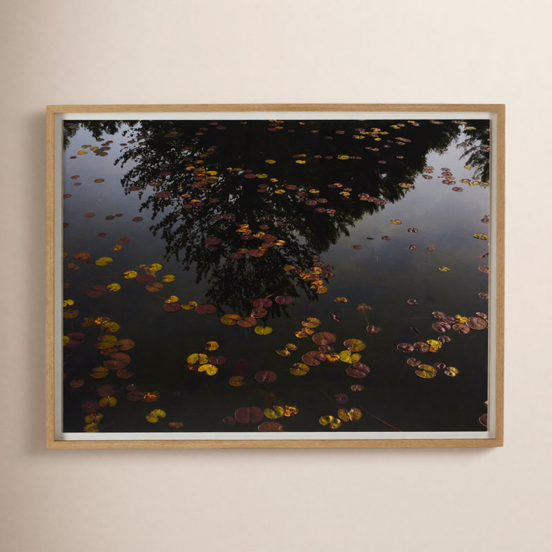 Echo by Shade Degges, 40" H x 60" W