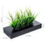 23 cm H Faux Onion Grass Plant
