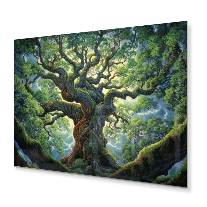 Brances Majestic Canopies I, 12" H x 20" W x 1" D