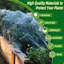 Garden Netting-131128279