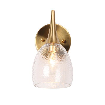 Single Light Glass Iron Dimmable Armed Sconce