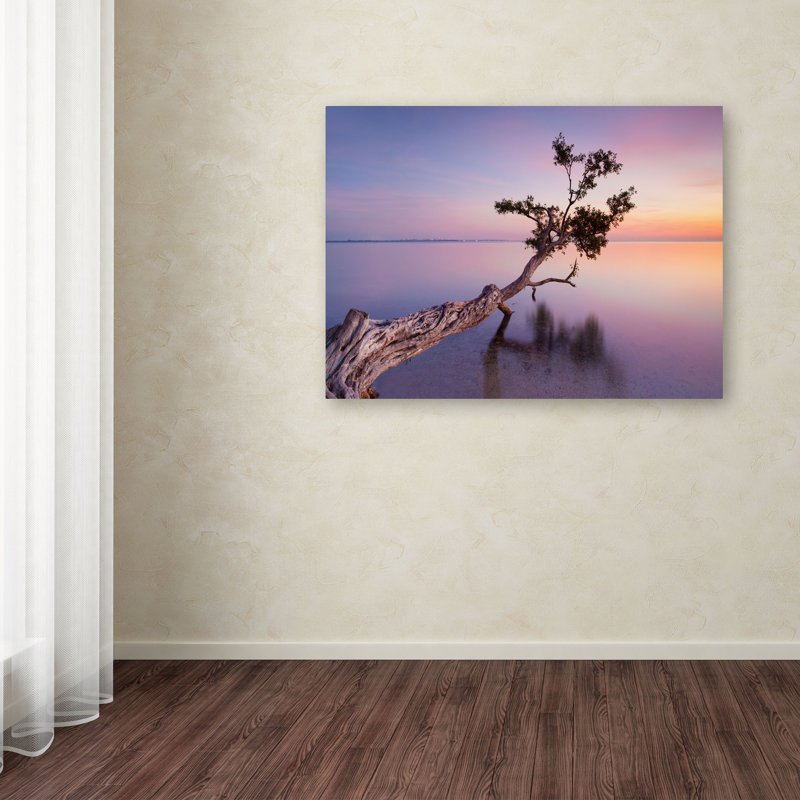 « water tree xv », impression sur toile tendue, H 14 po x l 24 po x P 2 po