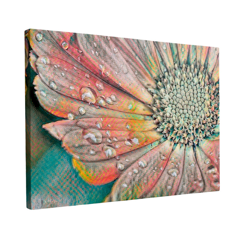 Rainbow Daisy - estampe numérique sur toile tendue avec châssis, H 27 po x l 36 po