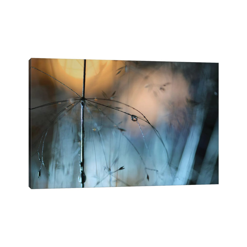 Almost Dark - Wrapped Canvas Print, 45.72cm H x 66.04cm W x 1.905cm D