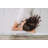 8 Inch Memory Foam Mattress