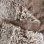 Throw Blanket-1231926830