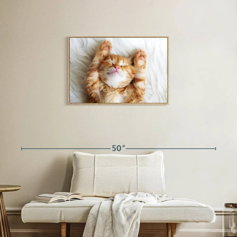 Sleepy Kitty, Cadre flottant en bois naturel, 31 po x 21 po
