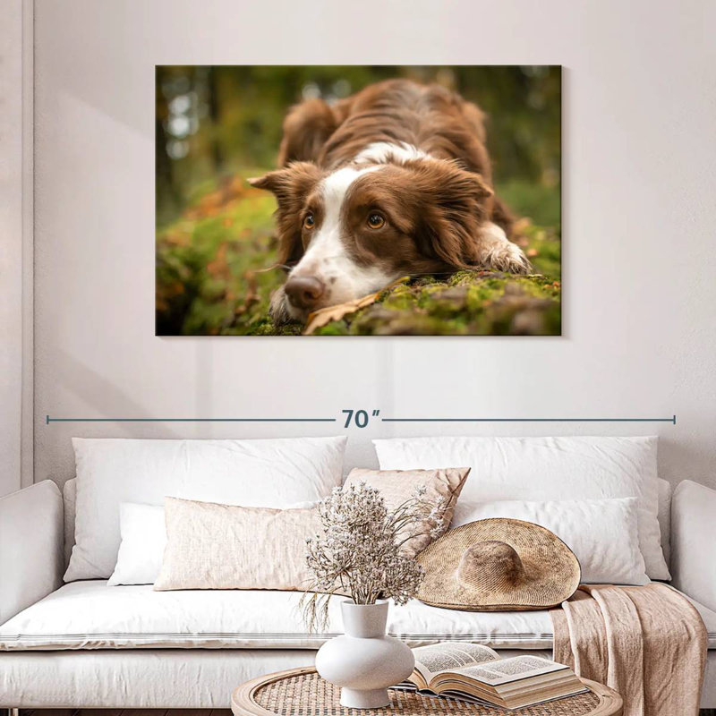 Brampt Lovable Border Collie, 30'' H x 45'' W