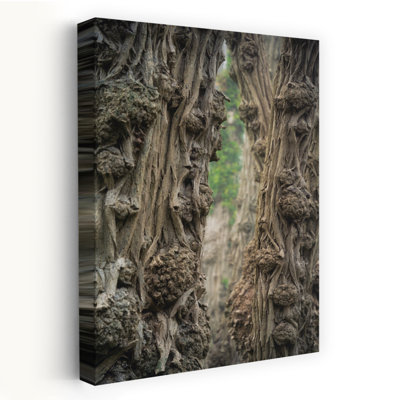 «A Little Gnarly Abstract Contemporary Tree Landscape Art»