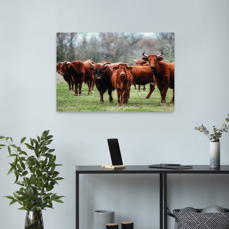 «Gathered Together», art contemporain de vache, H 16 po x l 24 po